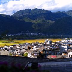 椿野咖啡館（和順店）張用戶圖片