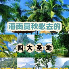 五指山亚泰雨林酒店·中餐厅 User Photo