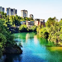 築箐苑張用戶圖片