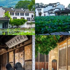 Cheng kan mao dou fu User Photo