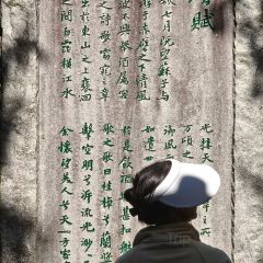 小清萊（惠城總店）張用戶圖片