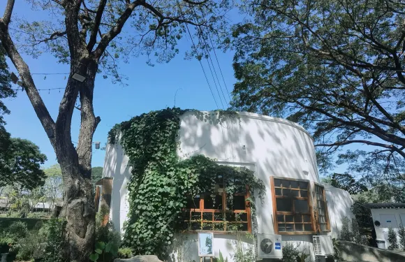 Judy's home cafe
