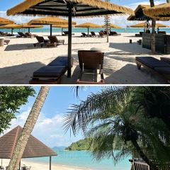 Beach Brasserie User Photo