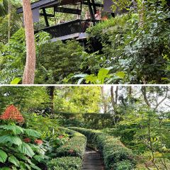 Langkawi Kitchen User Photo