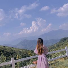 綠灣山莊張用戶圖片