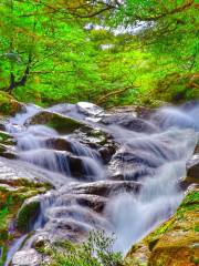 Shiratani Unsui Gorge