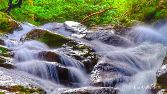 Shiratani Unsuikyo Ravine