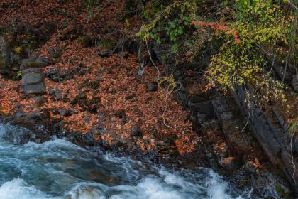 绵虒老陈记豆腐庄