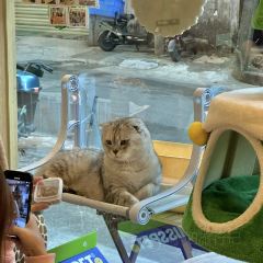 物也張用戶圖片