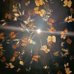 The Iron Fairies Hong Kong User Photo