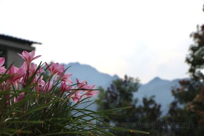 小苗鹊咖啡(梵净山店)