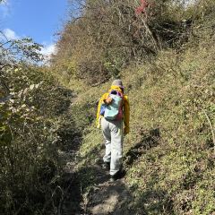 耿达镇 User Photo