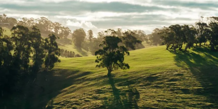 Lamezleighs cafe & bar