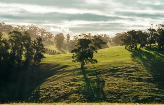 Lamezleighs cafe & bar