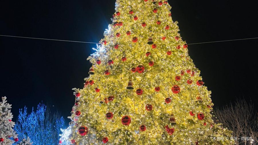 阿村烘焙aranya bakery(小镇广场店)