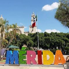 Apoala Mexican Cuisine 여행 사진