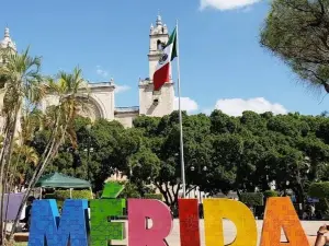 Apoala Mexican Cuisine
