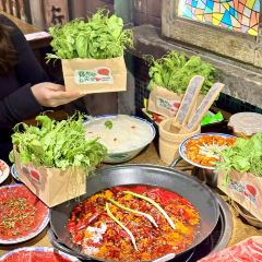 萍姐火锅·公路夜市(农科路店) User Photo