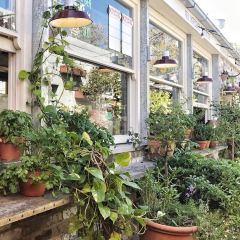 The Potting Shed at The Grounds User Photo