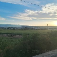 胖子鱼·鲜鱼火锅(全国总店) User Photo
