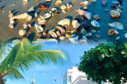 阿菊冷饮店(第一市场店)