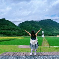 YONG XIANG TU CAI GUAN User Photo