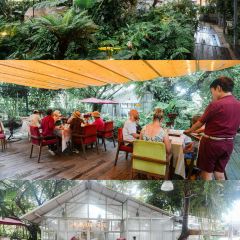 Lamour Cafe & Restaurant User Photo