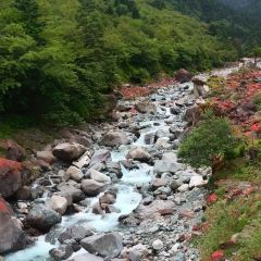 梅子山庄·土司宴 User Photo