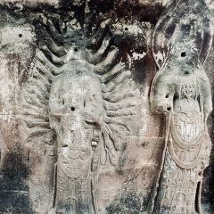 中国柠檬小镇 User Photo