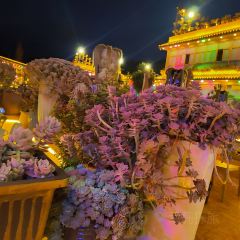 912·张宜庄园(3号店) User Photo