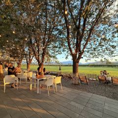 六月瓣咖啡 User Photo