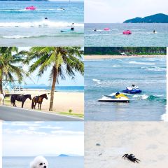 Nyonya Kebaya-A taste of Malaysia User Photo