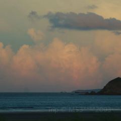 觅野仙踪·海东方VILLA海景度假美宿(舟山鹿栏晴沙店)·My forest cafe User Photo