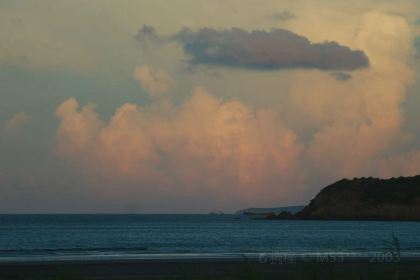 觅野仙踪·海东方VILLA海景度假美宿(舟山鹿栏晴沙店)·My forest cafe