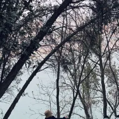 胡记包子 User Photo