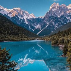 D diao bar User Photo