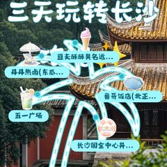 豆夫酥酥臭名远扬臭豆腐(总店) User Photo