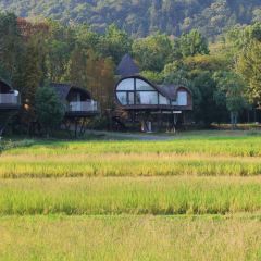 树蛙部落(仙女湖店)·餐厅 User Photo