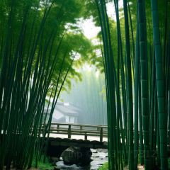 龙湾老字号烧烤 User Photo