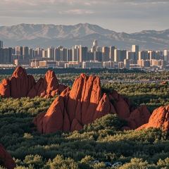 魏家羊羔肉(天山区店) User Photo