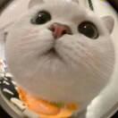 M290239**** 都江堰塵外·山語民宿（青城山店）優惠