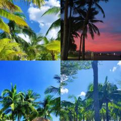 五指山亚泰雨林酒店·中餐厅 User Photo