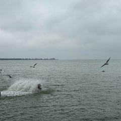 CHEN NIANG NIANG User Photo