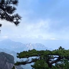 DE YUE LOU User Photo