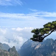 DE YUE LOU User Photo