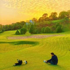 Ningdao Chinese Restaurant User Photo