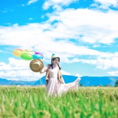 心邸咖啡張用戶圖片