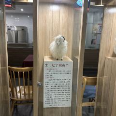 羊扬天下·中餐·羊肉汤·火锅 User Photo