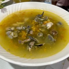 石屏会馆老普洱菜 User Photo