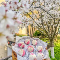 蘆莊超王記(東絳店)張用戶圖片